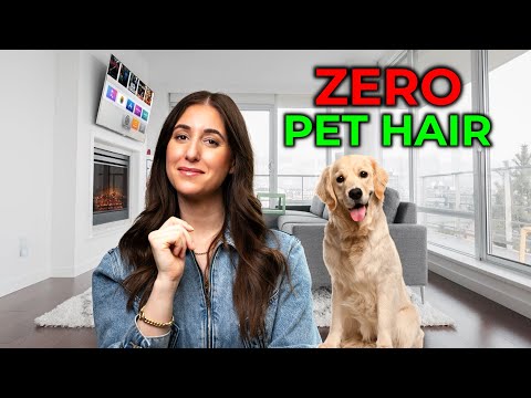 Clean Pet Hair for GOOD! How to Clean Up After Your Pets!