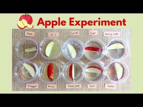 Oxidation | Why Apples Turn Brown - Science Experiment | Best Way to Keep Apples from Browning |