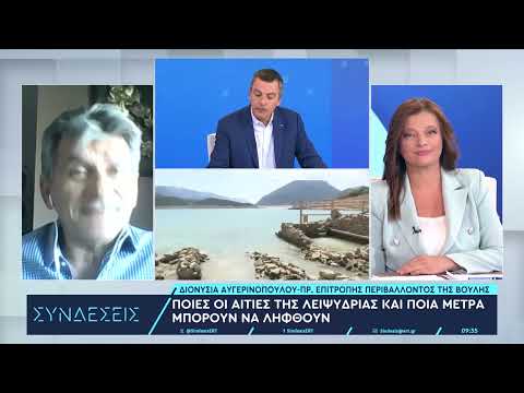 Γιατί γέμισε νεκρά ψάρια ο Παγασητικός–Η Επιτροπή Υδάτων στο Βόλο τις επόμενες μερες |28/8/2024| ΕΡΤ