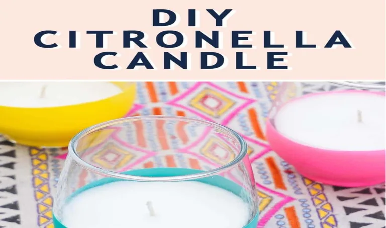 DIY: Πως μπορώ να φτιάξω σπιτικά κεριά σιτρονέλας για να εξαφανίσω τα κουνούπια