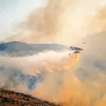 Πως να περιορίσουμε τις δασικές πυρκαγιές