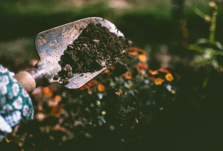 Πώς να κάνω guerrilla gardening;