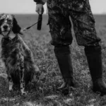 Κυνηγετική περίοδος 2024: Μέχρι πότε διαρκεί