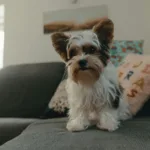 To 2025 έρχεται με το «Σπίτι μου 2» με ευνοϊκά επιτόκια