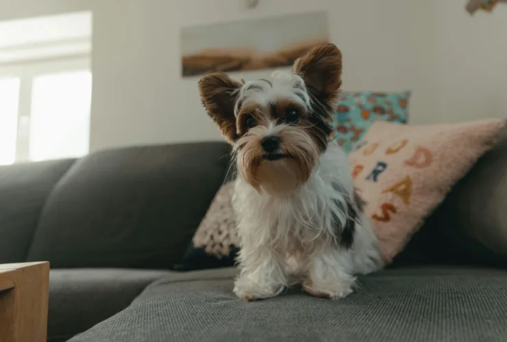 To 2025 έρχεται με το «Σπίτι μου 2» με ευνοϊκά επιτόκια