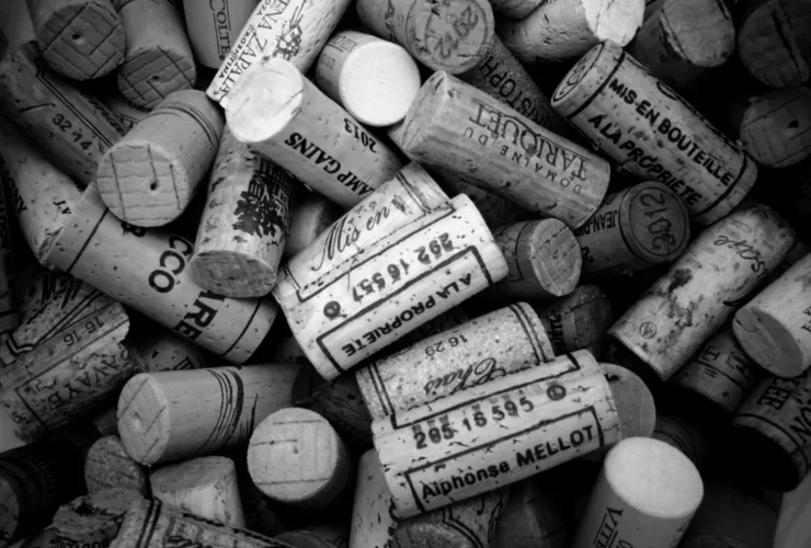 ΑΥΤΟΚΙΝΗΤΟ, ΦΕΛΛΟΣ