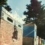 Βασιλικός πολτός: Τα οφέλη για την υγεία και οι παρενέργειες