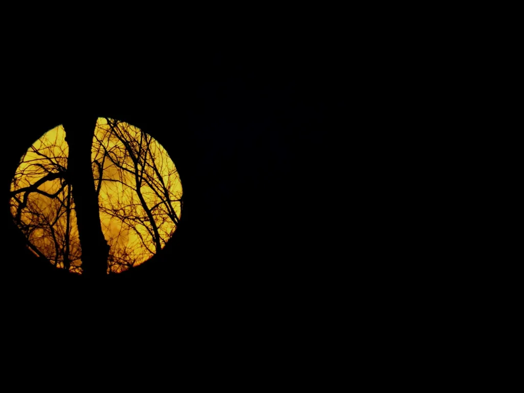 Πανσέληνος Μαΐου 2025: Πότε έρχεται το «Φεγγάρι των Λουλουδιών»