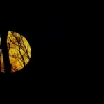 Πανσέληνος Μαΐου 2025: Πότε έρχεται το «Φεγγάρι των Λουλουδιών»