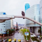 Το λάθος που κάνεις και τα περιστέρια κατασκηνώνουν στο μπαλκόνι σου