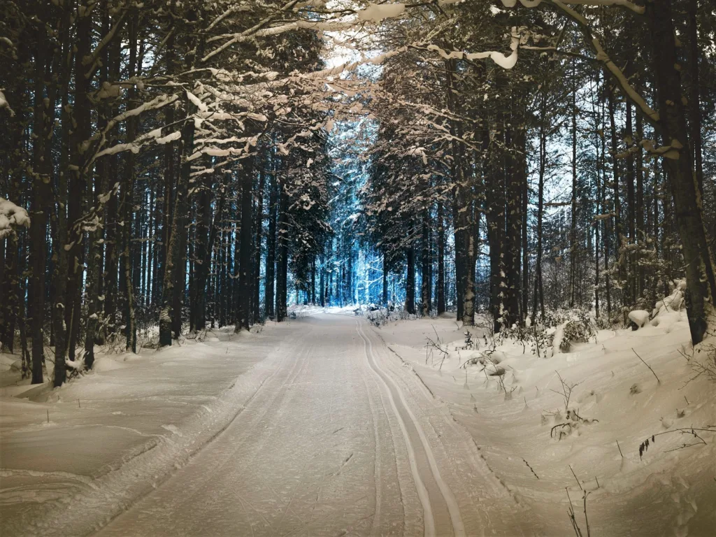 Χειμερινά λάστιχα ή αλυσίδες; Τι χρειάζεσαι πραγματικά για να μην «κολλήσεις» στον πάγο