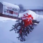 Οι καλύτερες Χριστουγεννιάτικες ταινίες για να μπείτε στο πνεύμα