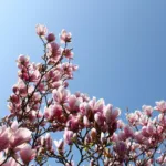 Κάθε πότε έχουμε δίσεκτο έτος;