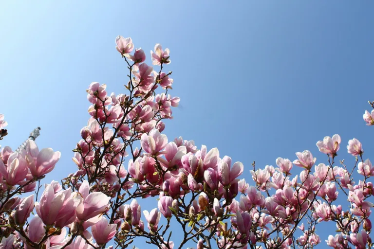Κάθε πότε έχουμε δίσεκτο έτος;