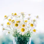 Πότε γιορτάζει ο Σάββας το 2025