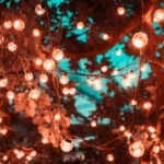 ΠΑΡΟΧΟΣ ΕΝΕΡΓΙΑΣ, GOV.GR