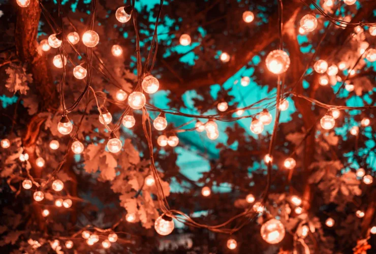 ΠΑΡΟΧΟΣ ΕΝΕΡΓΙΑΣ, GOV.GR