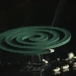 Συναγερμός για τα κουνούπια – Ποιες ασθένειες μεταδίδουν και πώς θα προστατευτείς