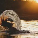 Πόσο συχνά πρέπει να λούζουμε τα μαλλιά μας;