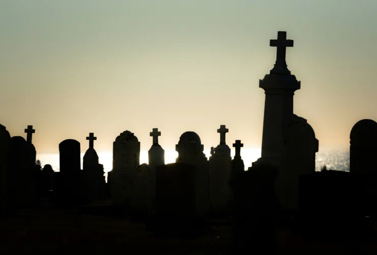 Γιατί τα νεκροταφεία είναι γεμάτα κυπαρίσσια