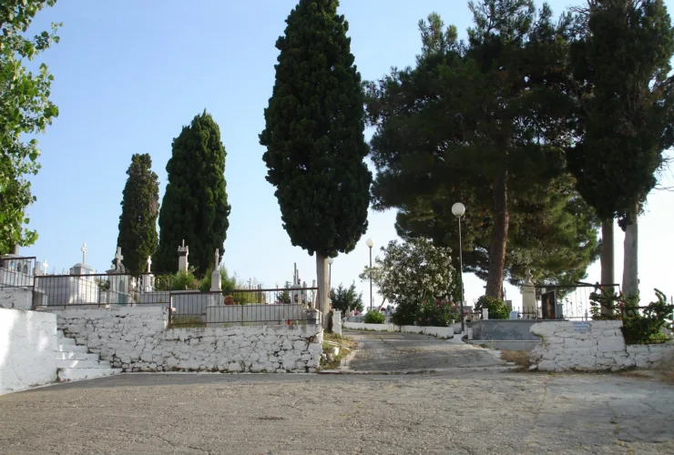 Γιατί τα νεκροταφεία είναι γεμάτα κυπαρίσσια