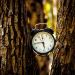 Άλλαξαν οι ώρες κοινής ησυχίας: Τι απαγορεύεται