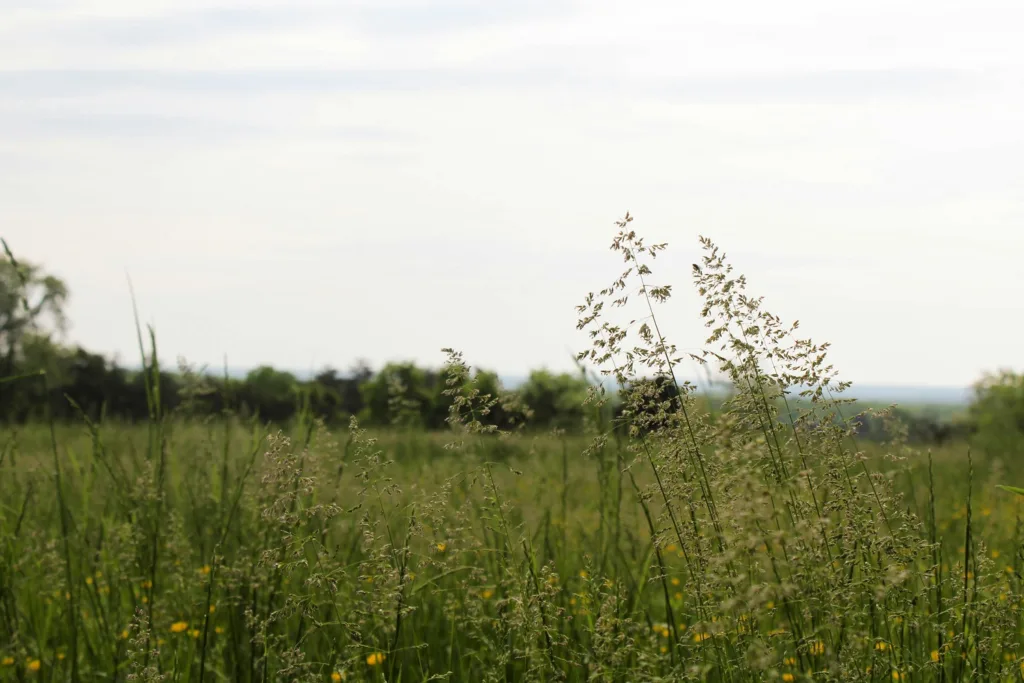 Κτηματολόγιο: Όσα πρέπει να ξέρετε για τις ψηφιακές πράξεις και τους ηλεκτρονικούς χάρτες
