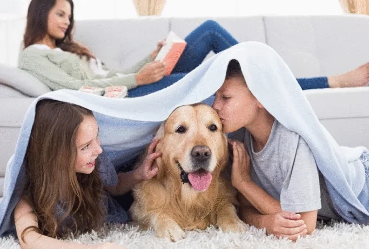 Είναι η απεντόμωση ασφαλής για παιδιά και κατοικίδια;