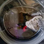 Βάλε ένα λεμόνι στο πλυντήριο – Το έξυπνο κόλπο που θα σας ξαφνιάσει