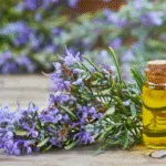 Πώς αυτό το κοινό βότανο προστατεύει τη μνήμη και βοηθά στην πρόληψη του Αλτσχάιμερ