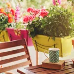 Πώς να φροντίσετε τα φυτά του μπαλκονιού σας τις ζεστές μέρες του καλοκαιριού