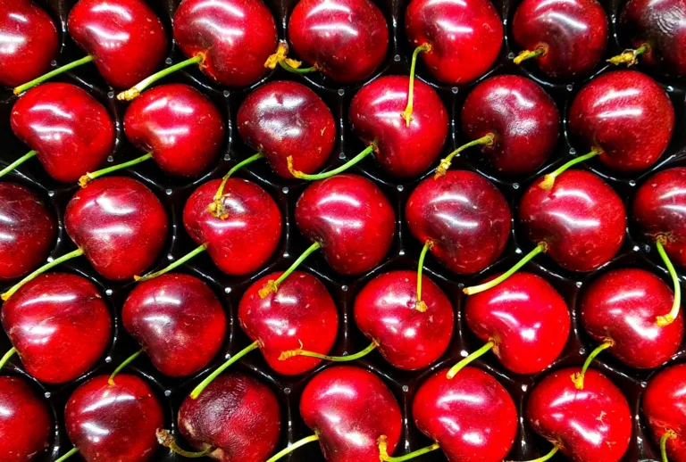 Κεράσια: Το καλοκαιρινό superfood που κάνει καλό στην καρδιά και τον ύπνο