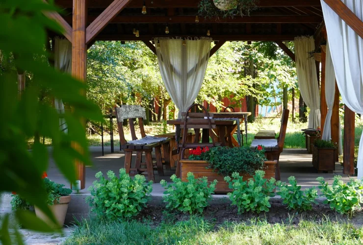 Το γκαζόν σου είναι ξερό; Το κόλπο που θα το «αναστήσει» χωρίς νέα σπορά!