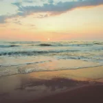 Τι να κάνεις αν σε τσιμπήσει μωβ μέδουσα – Πρώτες βοήθειες και τι να αποφύγεις