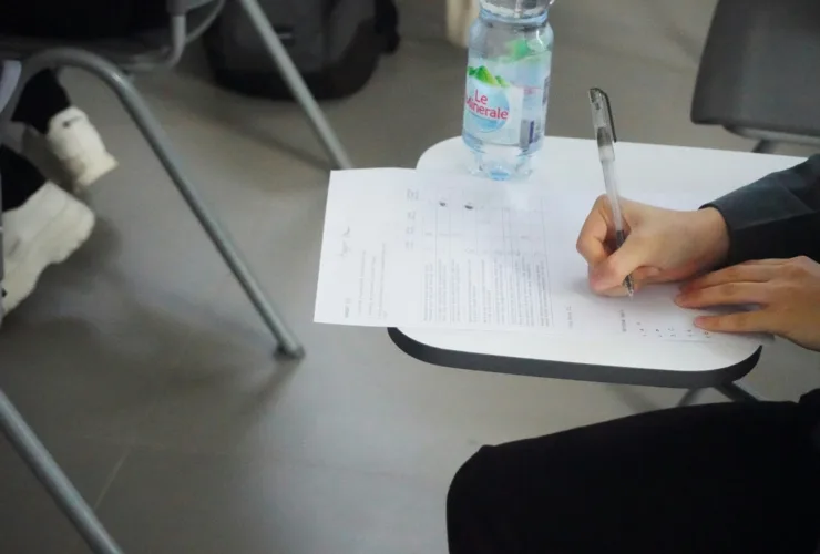 ΣΧΟΛΕΙΑ, ΚΟΙΝΩΝΙΚΗ ΕΡΓΑΣΙΑ