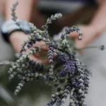 Φτιάξε μόνος σου μίνι παρτέρι με βότανα στο μπαλκόνι – χωρίς χώμα!