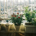 DIY κατακόρυφος κήπος από παλέτα – Φτιάξε το δικό σου πράσινο τοίχο για μπαλκόνι ή αυλή