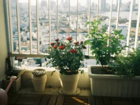 Το DIY κόλπο με το παλιό σφουγγάρι κουζίνας που μπορεί να λύσει ένα συχνό πρόβλημα στο μπαλκόνι