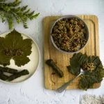 Πώς να διατηρούμε τα αμπελόφυλλα σε βαζάκι όλο τον χρόνο – Το μυστικό της γιαγιάς ζωντανεύει