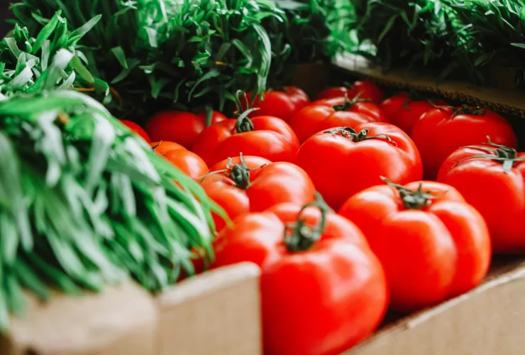 Προσοχή: 10 πράγματα που απαγορεύεται ΑΥΣΤΗΡΑ να βάλετε στον φούρνο μικροκυμάτων