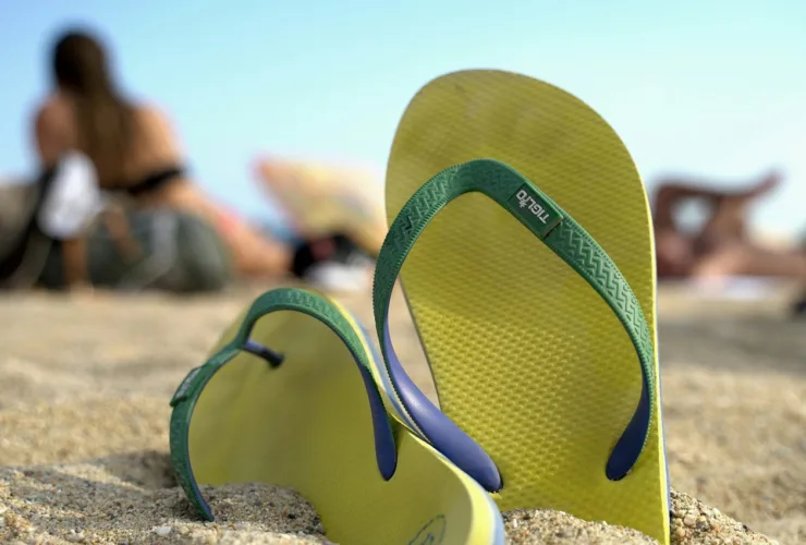 Thessaly & Evros Pass 2025: Πώς θα κάνεις αίτηση