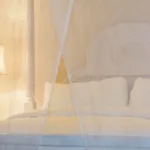 Πώς να διώξεις κουνούπια και έντομα με λεμόνι και γαρίφαλο – Φυσικό αντικουνουπικό