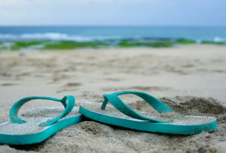 ΣΑΓΙΟΝΑΡΕΣ