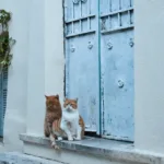 Πότε θα φανεί η μείωση του ΕΝΦΙΑ για τα χωριά κάτω των 1.500 κατοίκων