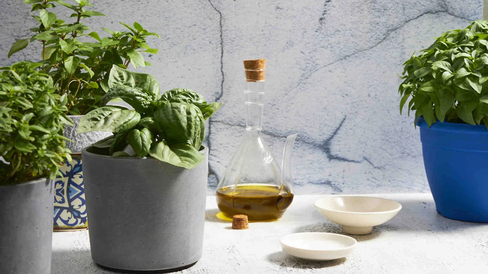 Πώς να φτιάξεις λάδι και βούτυρο βασιλικού – Συνταγές και χρήσεις