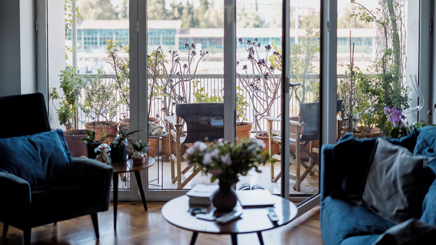 Βάλε αυτό το φυτό στο μπαλκόνι και δεν θα ξαναδείς κουνούπι – Το μυστικό του καλοκαιριού