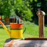 Πώς να μαζεύεις και να χρησιμοποιείς βρόχινο νερό για τον κήπο σου