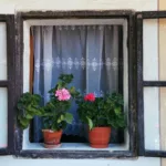 Επιστροφή ενοικίου: Τα 5 must για τους δικαιούχους