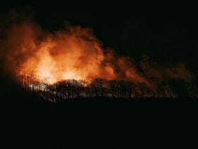 Πώς να προστατευτείτε από τον καπνό των πυρκαγιών – Τα 6 μέτρα για τις ευπαθείς ομάδες