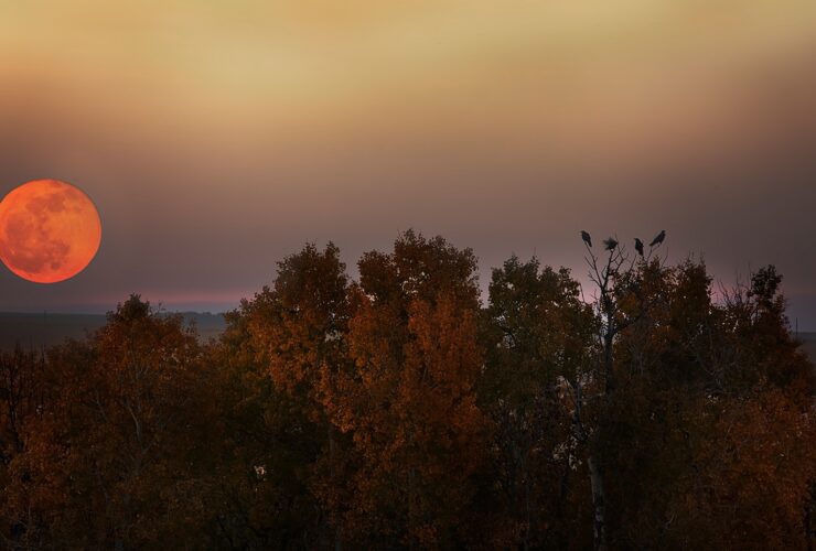 Πανσέληνος Σεπτεμβρίου 2025: Πότε κορυφώνεται το «ματωμένο» φεγγάρι